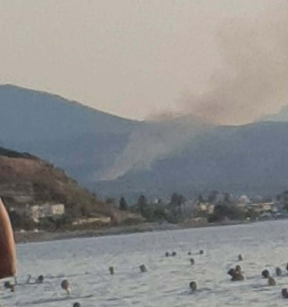 Πυρκαγιά σε χαμηλή βλάστηση στον Προφήτη Ηλία Κορινθίας Πυρκαγιά σε χαμηλή βλάστηση στον Προφήτη Ηλία Κορινθίας