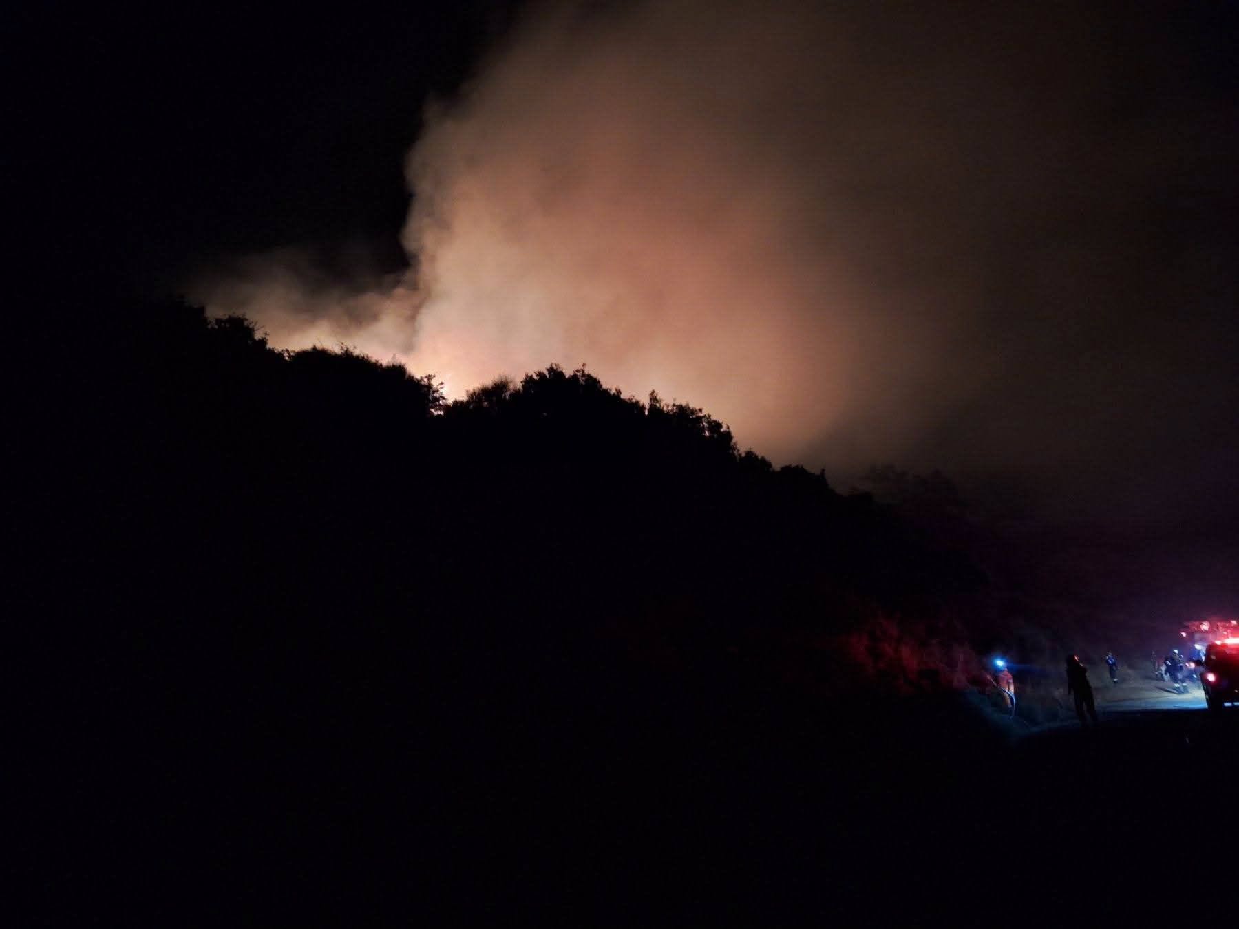 Πυρκαγιά σε δασική έκταση στην περιοχή Προφήτης Ηλίας στη Σάμο Πυρκαγιά σε δασική έκταση στην περιοχή Προφήτης Ηλίας στη Σάμο