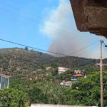 Πυρκαγιά σε δασική έκταση στο Πλωμάρι Λέσβου