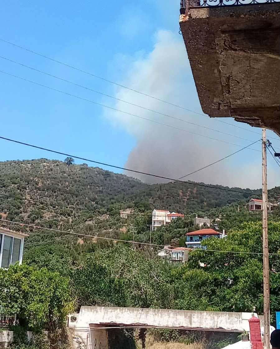 Πυρκαγιά σε δασική έκταση στο Πλωμάρι Λέσβου