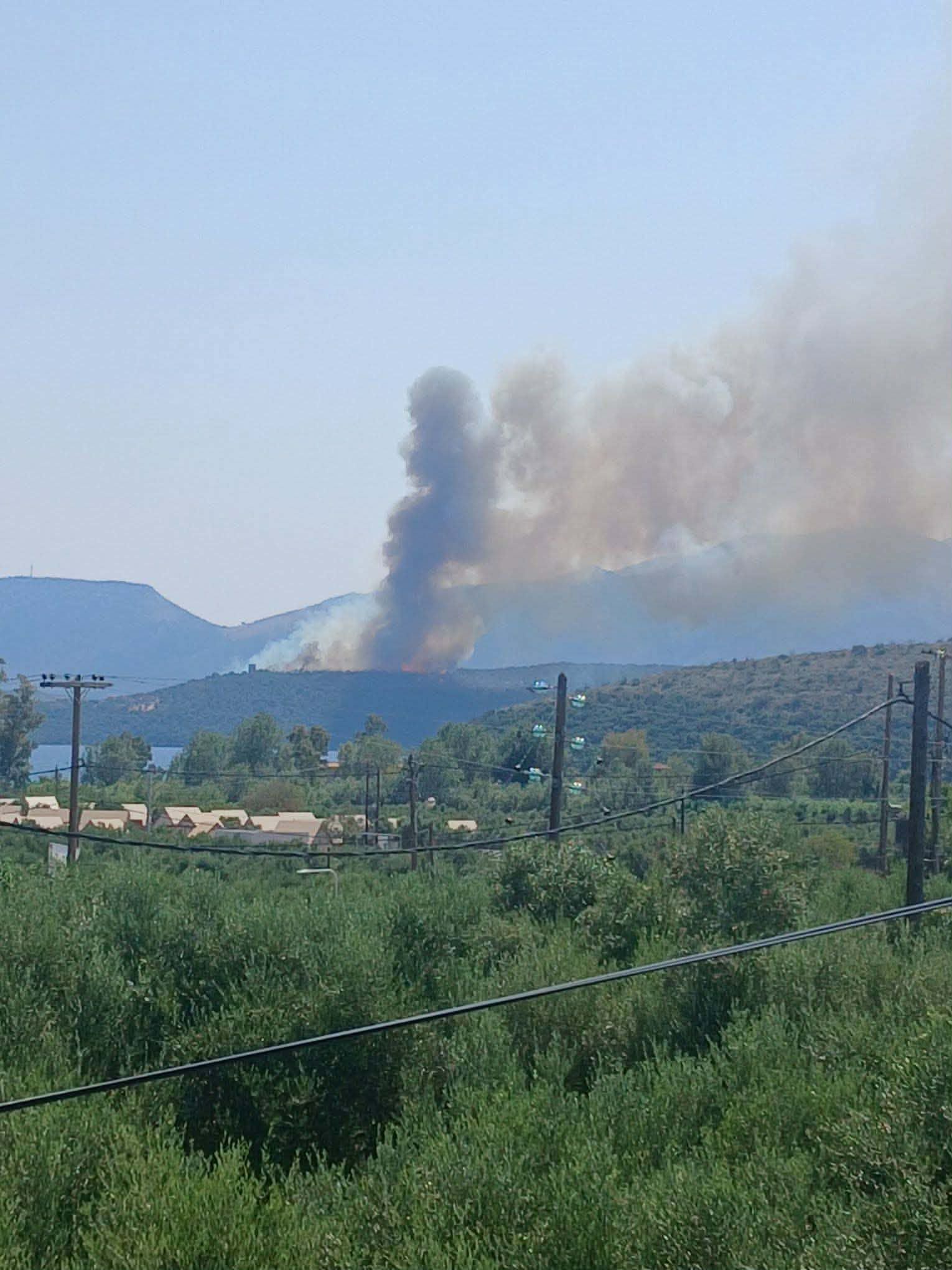 Πυρκαγιά σε δασική έκταση στον Αγερανό Λακωνίας Πυρκαγιά σε δασική έκταση στον Αγερανό Λακωνίας