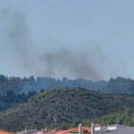 Πυρκαγιά σε δασική έκταση στην περιοχή της Νέας Σκιώνης Χαλκιδικής