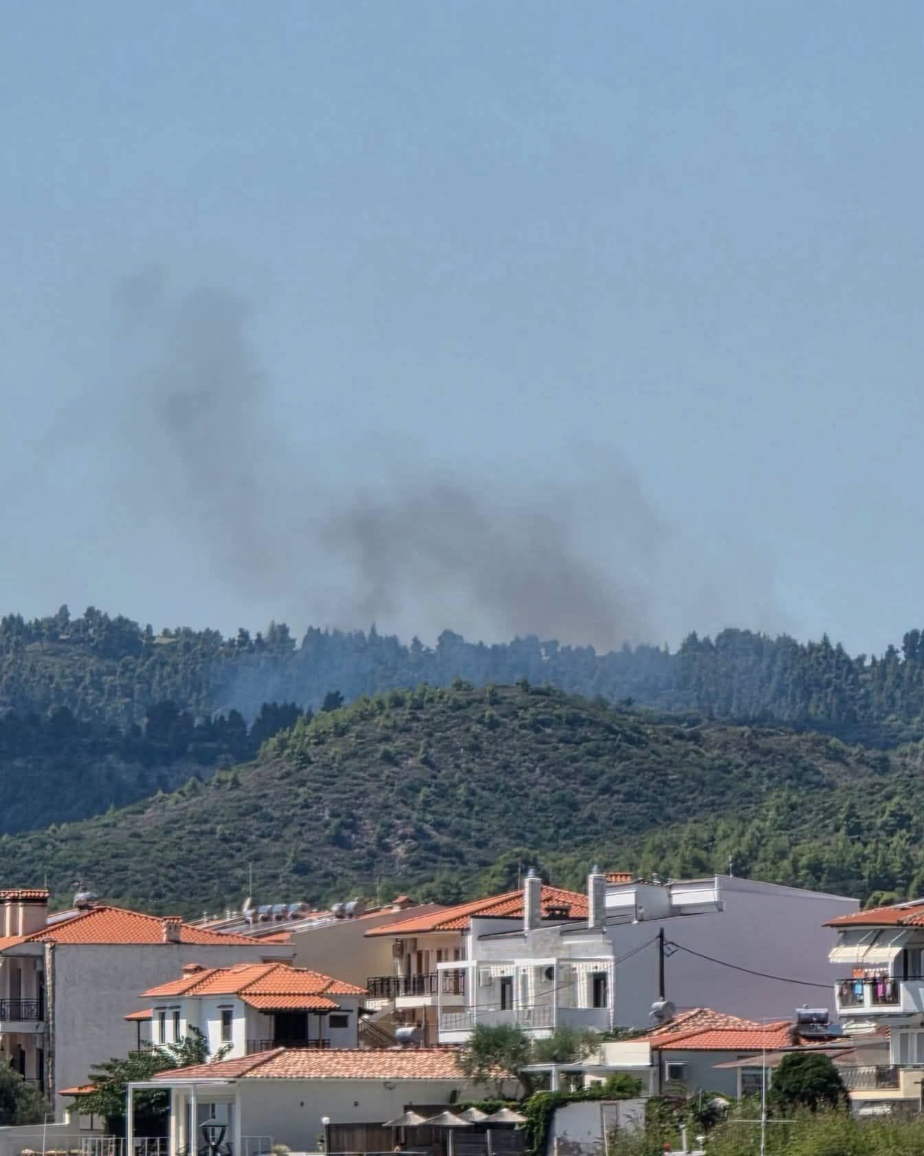 Πυρκαγιά σε δασική έκταση στην περιοχή της Νέας Σκιώνης Χαλκιδικής Πυρκαγιά σε δασική έκταση στην περιοχή της Νέας Σκιώνης Χαλκιδικής