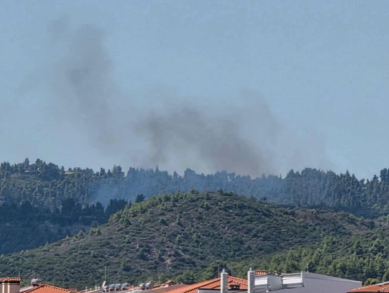 Πυρκαγιά σε δασική έκταση στην περιοχή της Νέας Σκιώνης Χαλκιδικής