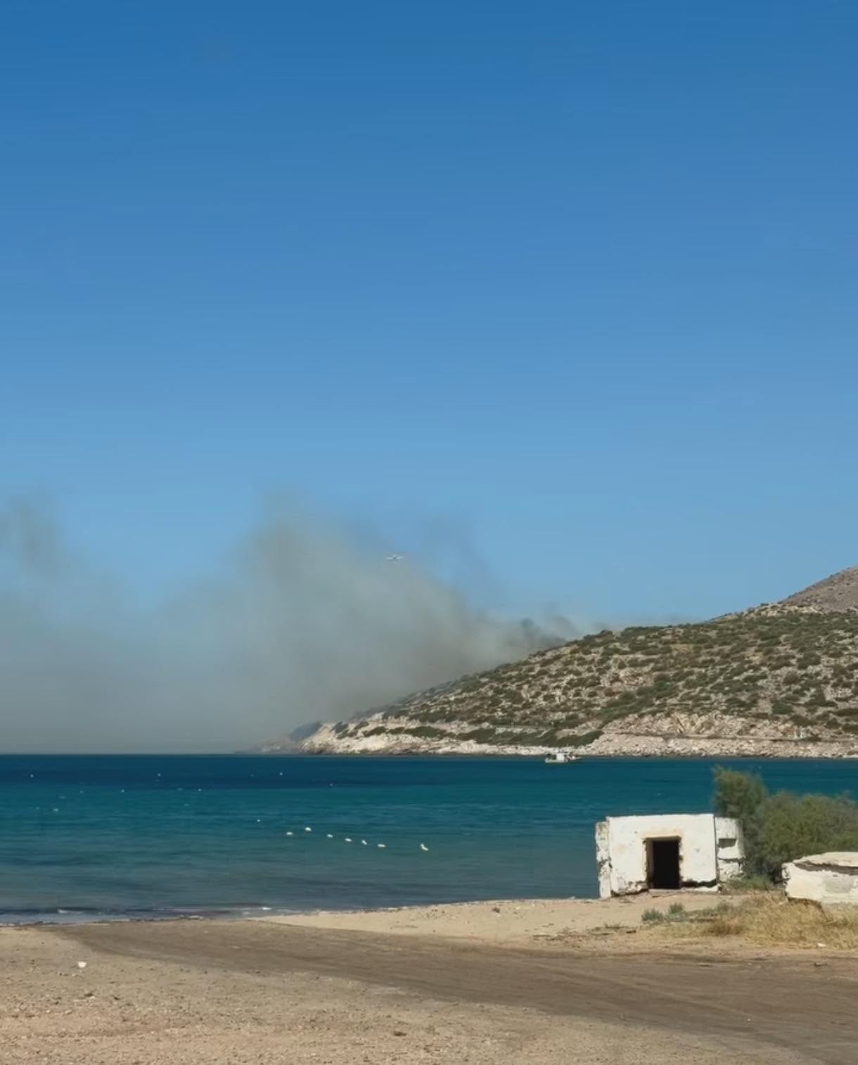 Πυρκαγιά σε χαμηλή βλάστηση στην περιοχή Χάρακας Κερατέας Πυρκαγιά σε χαμηλή βλάστηση στην περιοχή Χάρακας Κερατέας