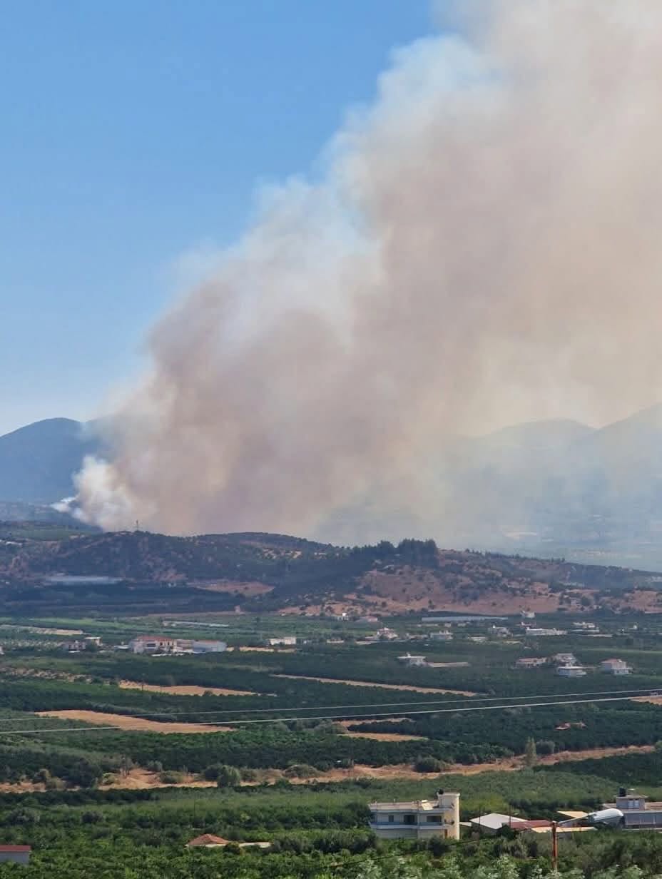 Πυρκαγιά σε αγροτοδασική έκταση στα Φίχτια Αργολίδας Πυρκαγιά σε αγροτοδασική έκταση στα Φίχτια Αργολίδας