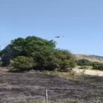 Πυρκαγιά σε χαμηλή βλάστηση στο Γενέσι Τρικάλων