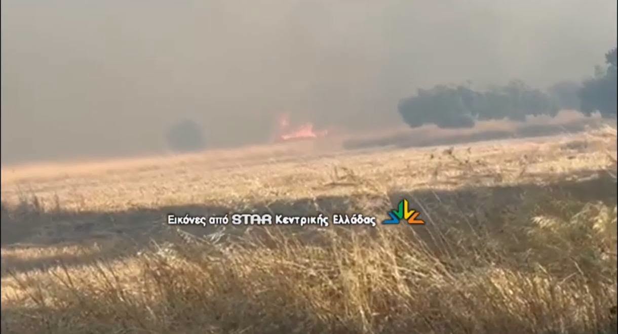 Πυρκαγιά σε αγροτοδασική έκταση στην Ξηρονομή Βοιωτίας