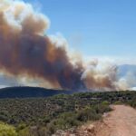 Πυρκαγιά σε δασική έκταση στην Περιφερειακή Αιγάλεω