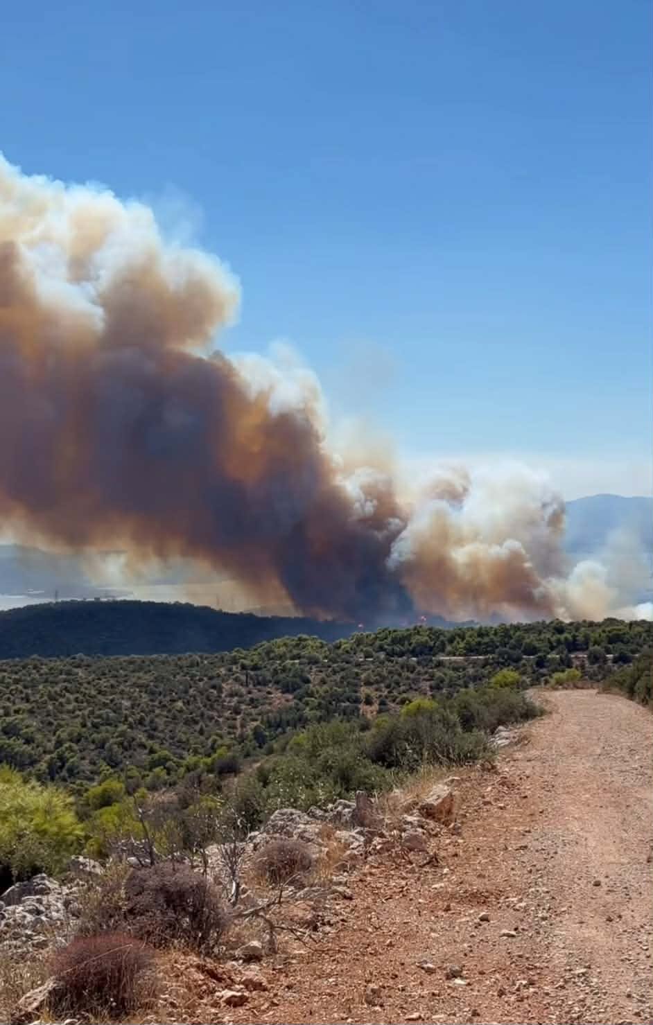 Πυρκαγιά σε δασική έκταση στην Περιφερειακή Αιγάλεω Πυρκαγιά σε δασική έκταση στην Περιφερειακή Αιγάλεω