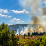 Πυρκαγιά σε χαμηλή βλάστηση στα Οινόφυτα Βοιωτίας