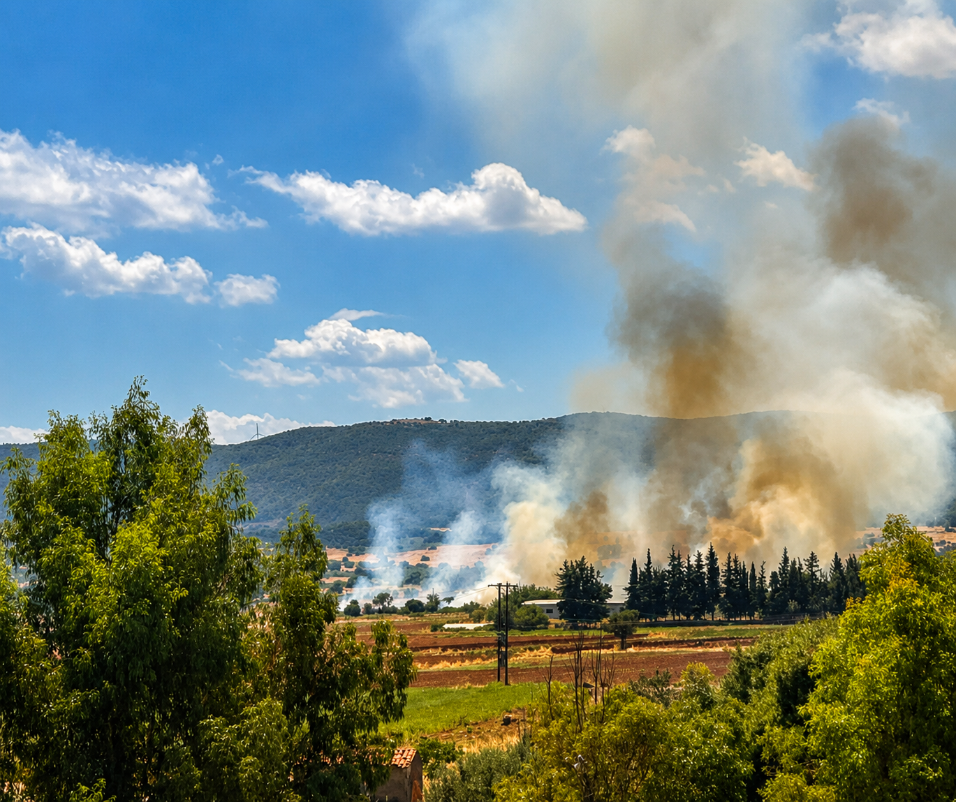 Πυρκαγιά σε χαμηλή βλάστηση στα Οινόφυτα Βοιωτίας