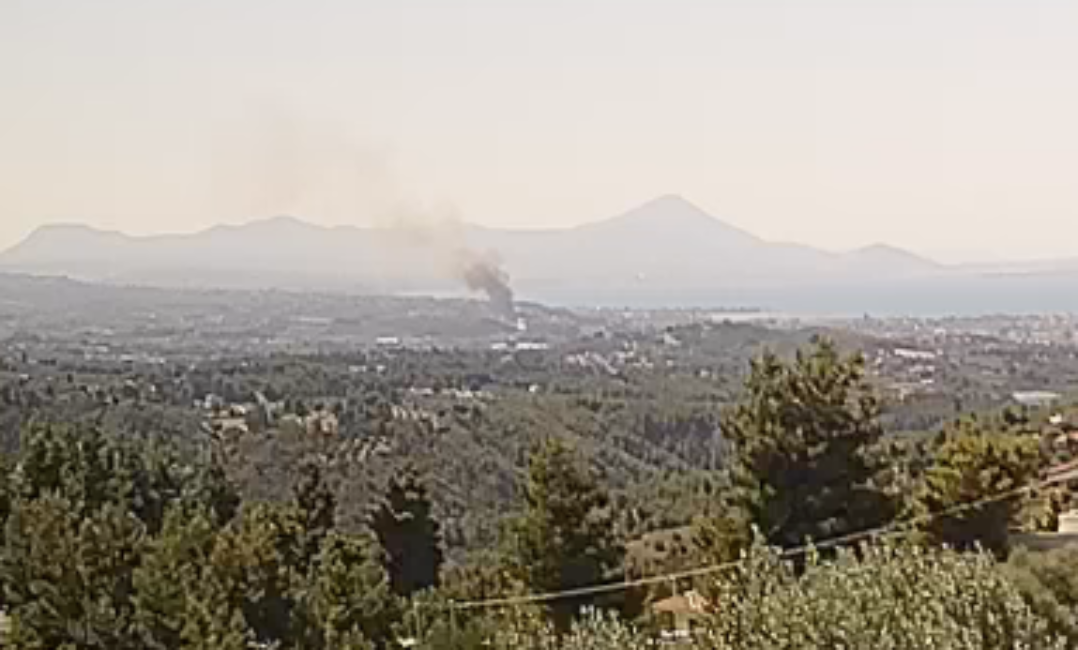 Πυρκαγιά σε αγροτοδασική έκταση στο Χαλκούτσι Ωρωπού Πυρκαγιά σε αγροτοδασική έκταση στο Χαλκούτσι Ωρωπού