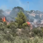 Πυρκαγιά σε χαμηλή βλάστηση στην περιοχή του οικισμού Ακτή Νηρέως στην Εύβοια
