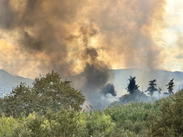 Δύο πυρκαγιές σε αγροτοδασικές εκτάσεις στην Παραμυθιά Θεσπρωτίας