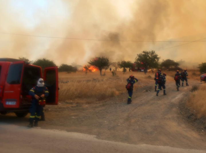 Πυρκαγιά σε αγροτοδασική έκταση στο Αδάμι Αργολίδας Πυρκαγιά σε αγροτοδασική έκταση στο Αδάμι Αργολίδας