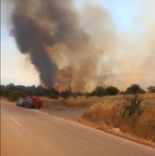 Πυρκαγιά σε αγροτοδασική έκταση στο Αδάμι Αργολίδας
