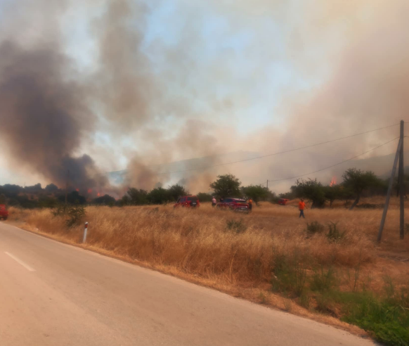 Πυρκαγιά σε αγροτοδασική έκταση στο Αδάμι Αργολίδας Πυρκαγιά σε αγροτοδασική έκταση στο Αδάμι Αργολίδας