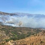 Πυρκαγιά σε δασική έκταση στη Νέα Κρύα Βρύση Ρεθύμνου