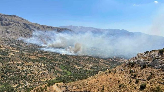 Πυρκαγιά σε δασική έκταση στη Νέα Κρύα Βρύση Ρεθύμνου