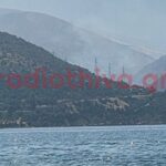 Πυρκαγιά σε δασική έκταση στο Κυριάκι Βοιωτίας