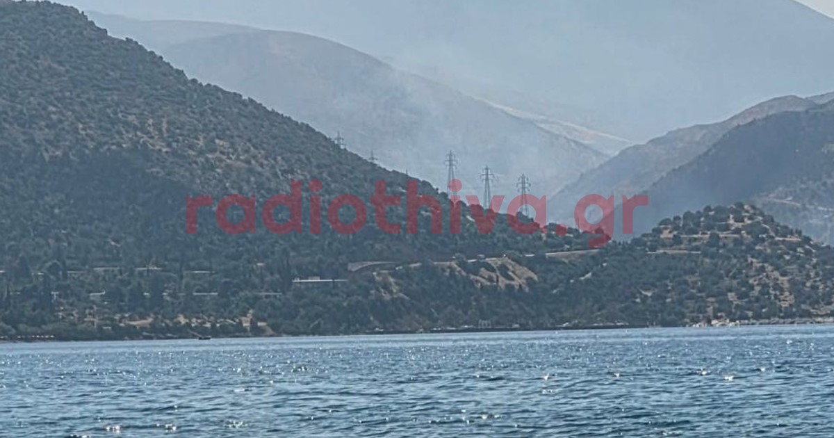 Πυρκαγιά σε δασική έκταση στο Κυριάκι Βοιωτίας Πυρκαγιά σε δασική έκταση στο Κυριάκι Βοιωτίας