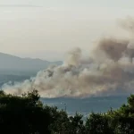 Πυρκαγιά σε δασική έκταση στην περιοχή Αγία Ελένη Τροιζηνίας