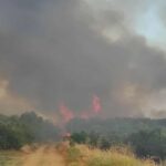 Πυρκαγιά σε χαμηλή βλάστηση στα Διαβατά Θεσσαλονίκης
