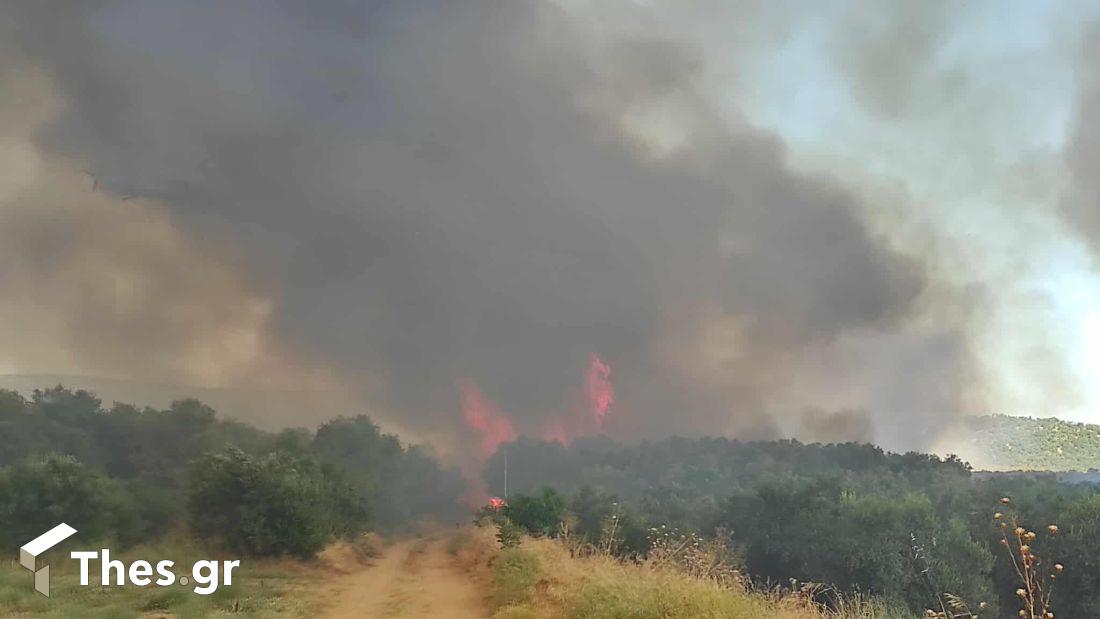 Πυρκαγιά σε χαμηλή βλάστηση στα Διαβατά Θεσσαλονίκης