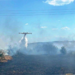 Πυρκαγιά σε χαμηλή βλάστηση στους Νέους Επιβάτες Θεσσαλονίκης