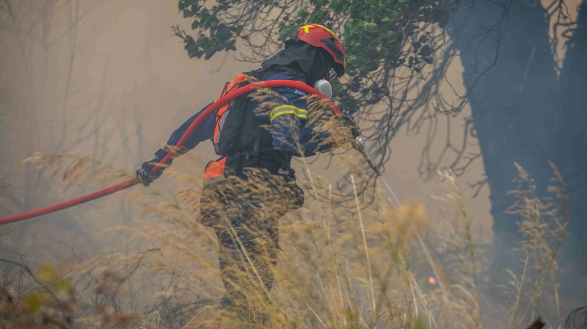 Τρεις συλλήψεις για πυρκαγιές από αμέλεια σε Έβρο και Γρεβενά
