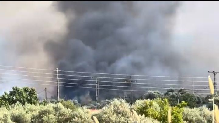 Πυρκαγιά σε δασική έκταση στη Νέα Καλλικράτεια Χαλκιδικής Πυρκαγιά σε δασική έκταση στη Νέα Καλλικράτεια Χαλκιδικής