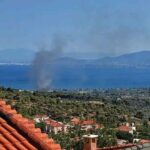Πυρκαγιά σε δασική έκταση στα Πολιτικά Ευβοίας