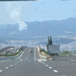 Πυρκαγιά σε αγροτοδασική έκταση στην περιοχή Καμηλόβρυση Φθιώτιδας