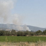 Πυρκαγιά σε αγροτοδασική έκταση στην Ελάτεια Φθιώτιδας – Επιχειρούν 35 πυροσβέστες και 6 εναέρια μέσα