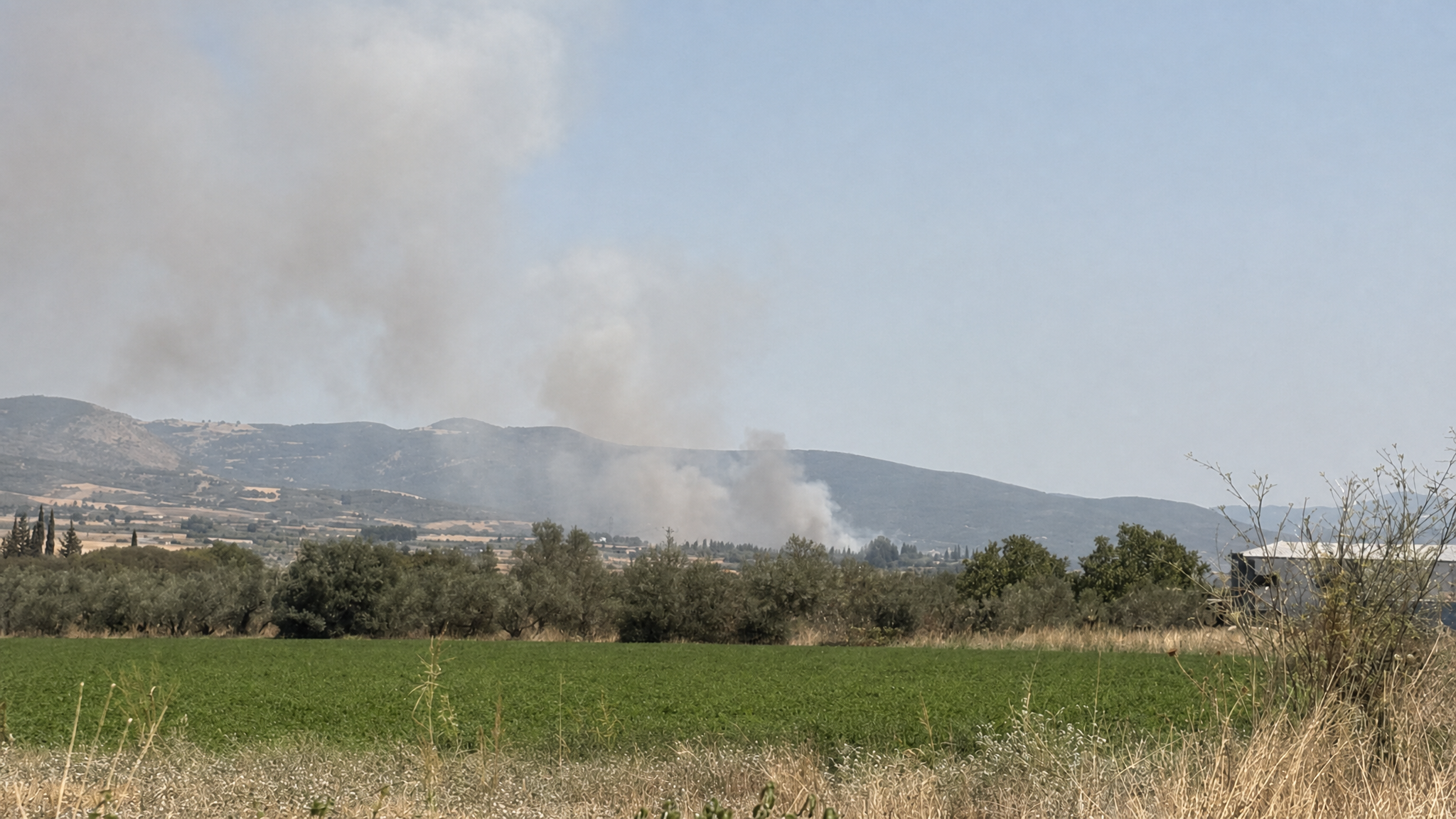 Πυρκαγιά σε αγροτοδασική έκταση στην Ελάτεια Φθιώτιδας – Επιχειρούν 35 πυροσβέστες και 6 εναέρια μέσα Πυρκαγιά σε αγροτοδασική έκταση στην Ελάτεια Φθιώτιδας – Επιχειρούν 35 πυροσβέστες και 6 εναέρια μέσα