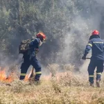 Πυρκαγιά σε αγροτοδασική έκταση στο Βαθύκοιλο Φθιώτιδας – Επιχειρούν 34 πυροσβέστες και 5 αεροσκάφη