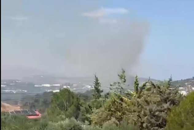Πυρκαγιά σε χαμηλή βλάστηση επί της οδού Ανδριανού στο Κορωπί Πυρκαγιά σε χαμηλή βλάστηση επί της οδού Ανδριανού στο Κορωπί