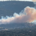 Πυρκαγιά σε χαμηλή βλάστηση στα Αϊβαλιώτικα Βόλου – Επιχειρούν 28 πυροσβέστες και 2 ελικόπτερα