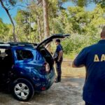 Από γεννήτρια η πυρκαγιά στη Σκύρο - Σύλληψη 63χρονης