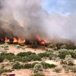 Πυρκαγιά σε αγροτοδασική έκταση στην περιοχή Βαμβακές Κορινθίας