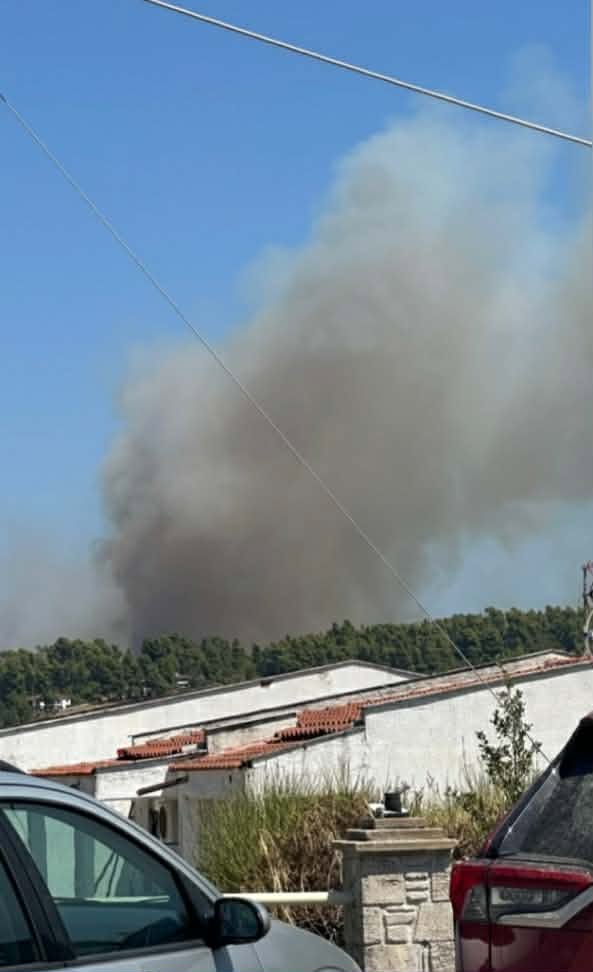 Ενισχύθηκαν οι δυνάμεις στην πυρκαγιά στη Σίβηρη Χαλκιδικής – 72 πυροσβέστες και 7 εναέρια μέσα Ενισχύθηκαν οι δυνάμεις στην πυρκαγιά στη Σίβηρη Χαλκιδικής – 72 πυροσβέστες και 7 εναέρια μέσα