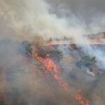 Πυροσβεστική: 28 αγροτοδασικές πυρκαγιές το τελευταίο 24ωρο