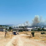 Πυρκαγιά σε χαμηλή βλάστηση στην περιοχή Δρίγγια Κορωπίου