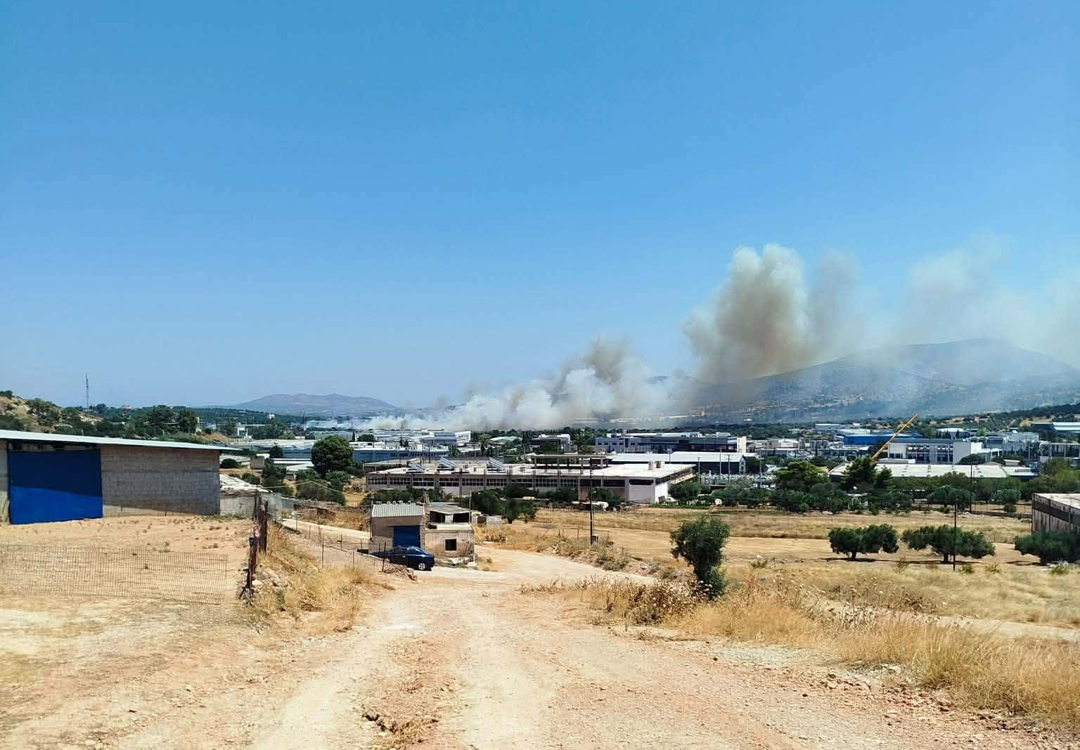 Πυρκαγιά σε χαμηλή βλάστηση στην περιοχή Δρίγγια Κορωπίου Πυρκαγιά σε χαμηλή βλάστηση στην περιοχή Δρίγγια Κορωπίου