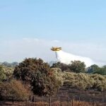 Πυρκαγιά σε γεωργική έκταση στην περιοχή Αγία Μαρίνα Ηλείας