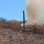 Κεφαλονιά: Συνελήφθη 44χρονος για εμπρησμό από πρόθεση - Είχε καταδικαστεί και στο παρελθόν