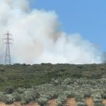 Πυρκαγιά σε αγροτοδασική έκταση στην περιοχή Καμηλόβρυση Φθιώτιδας