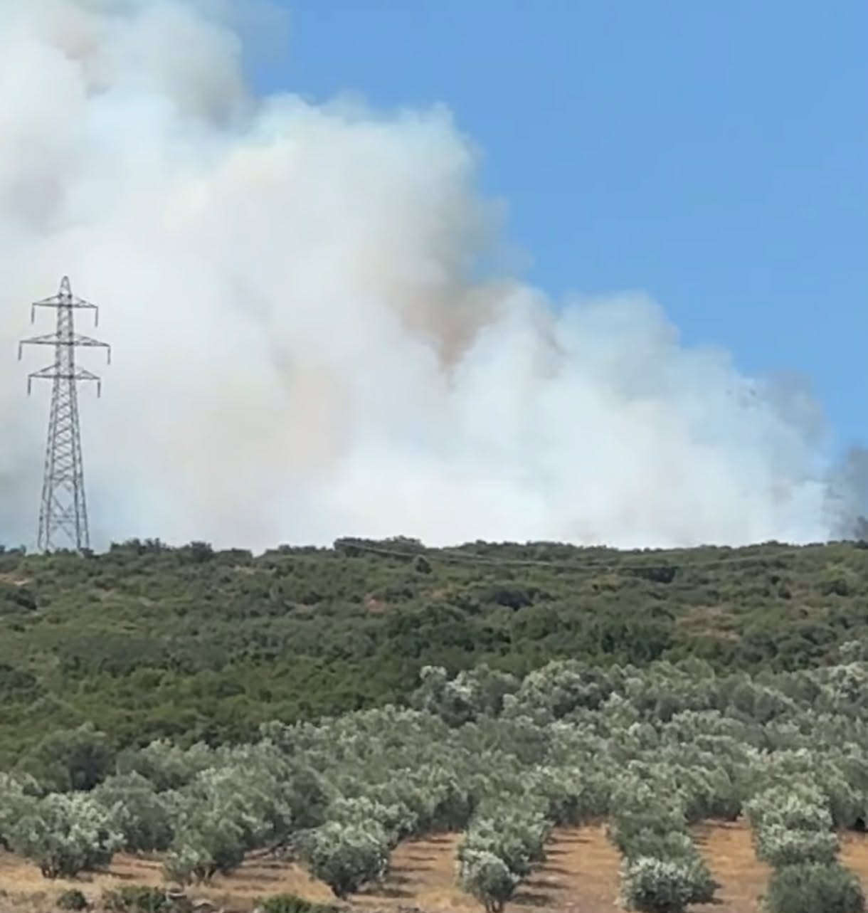 Πυρκαγιά σε αγροτοδασική έκταση στην περιοχή Καμηλόβρυση Φθιώτιδας