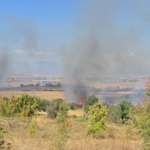 Πυρκαγιά σε χαμηλή βλάστηση στο Κιλκίς